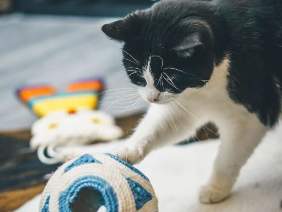 V3HB0543DED141337A5741A34E6FA27E0B2R5778937P3