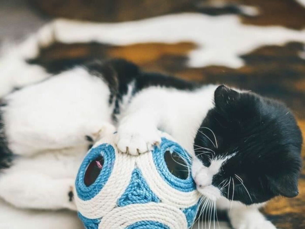 V3HDBEFA7986E4DADD2B9037F29442B4A31R5778939P4