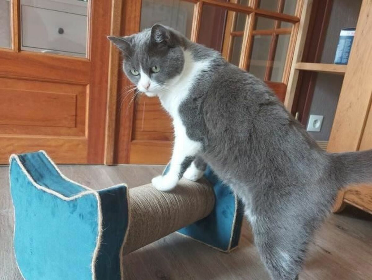 V5H3F95563A8611E85101D87DF7F3BE03B4R6669439P3