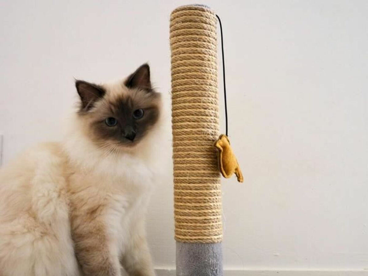 V5H4B59F95E42736D3A0CFFAB3254C01192R5763482P4