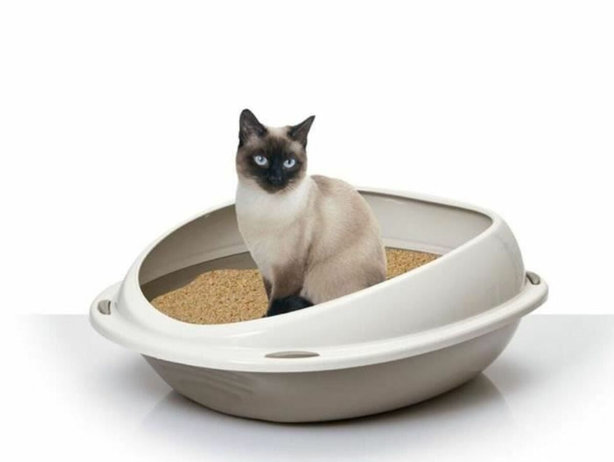 V4H2A5B840E6ECAB7CC440186910C627AA3R6703096P2