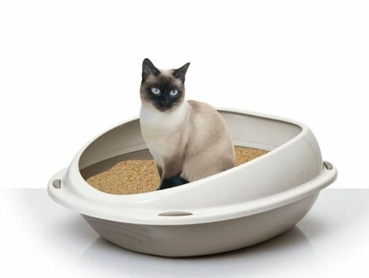 V2H5D582B5A2B29487D46E98D801B49612AR6704770P2