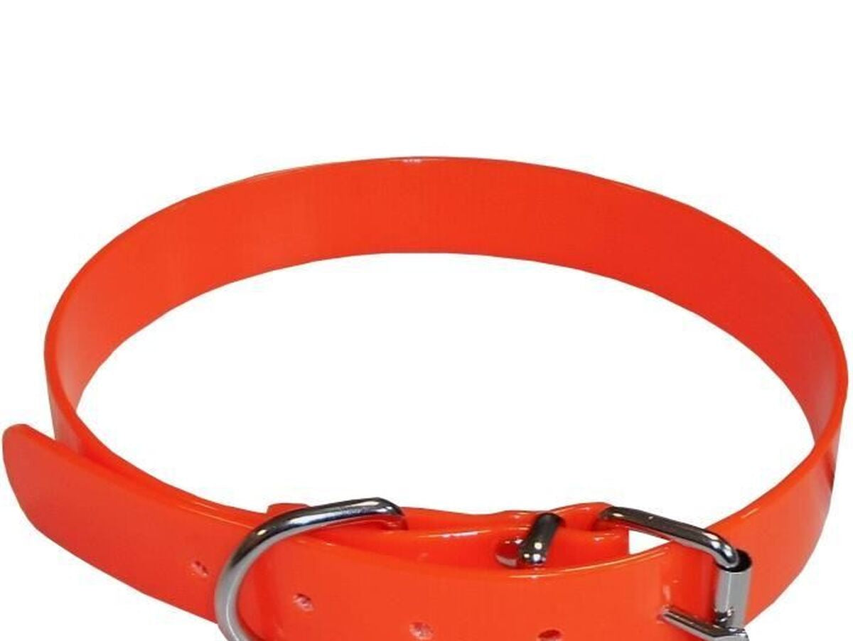 V2H33740D457C61E7C55A69B23A191EBBBCR7437048P5