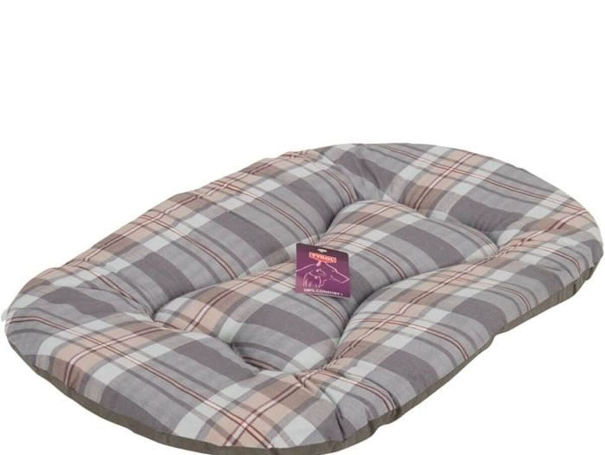 V2H2BF377A509109B86829EDEFEB7D57787R7437051P1