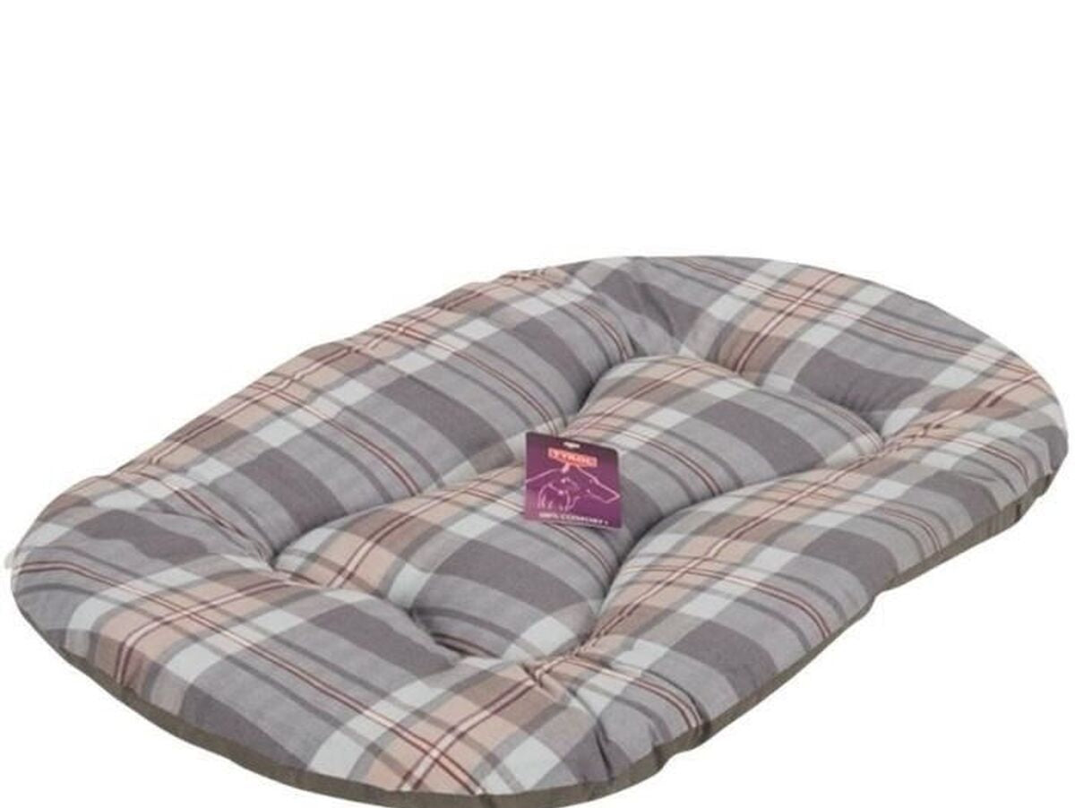 V2HEFE1635C69C9C7037E4EBA73D0854A48R7437054P4