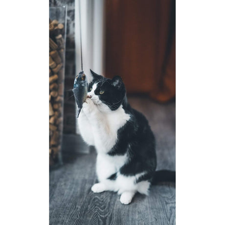 V2HBE36A12882A851AA8696FD73D3FAB28DR7436899P9