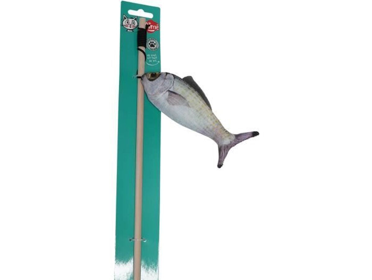 V2HBAEB263A66633663DFB3F15C651D1A59R7436889P1