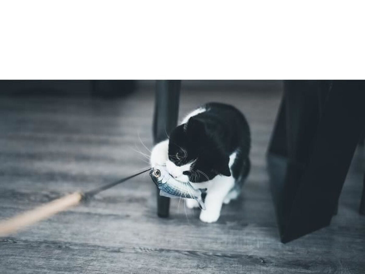 V2H039166CB86BB7FF5E6ACE5C522133F4AR7436892P4