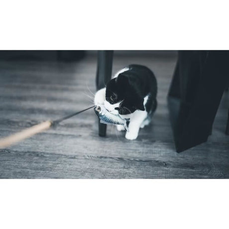 V2H039166CB86BB7FF5E6ACE5C522133F4AR7436892P4