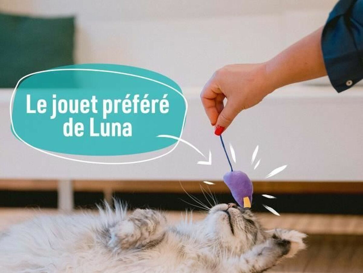 V4H268868B893B739A77E9AB634E24FF196R7388609P4