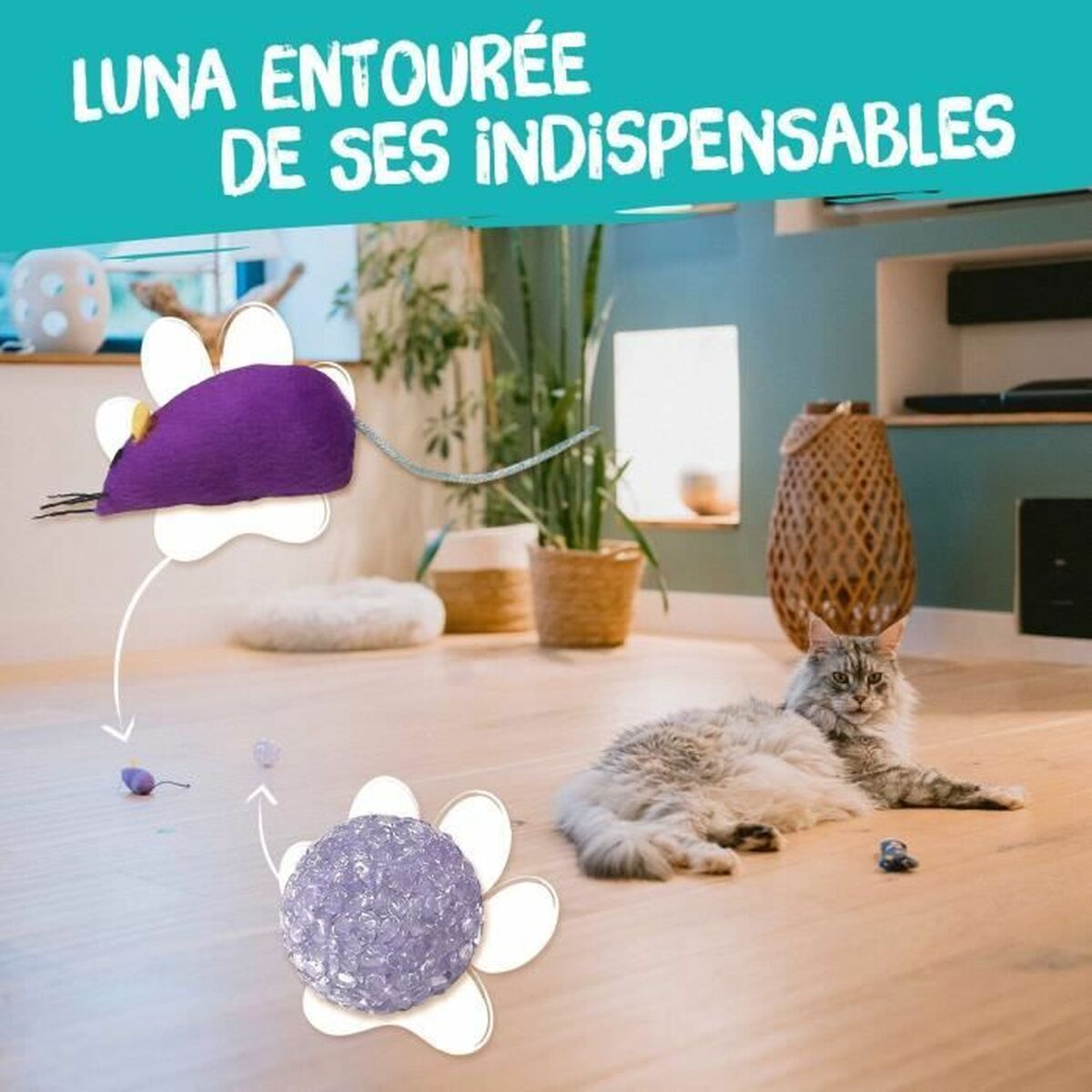 V2HAA442A73A1F3C82CB070C8AAE5E7EC1DR7388612P5