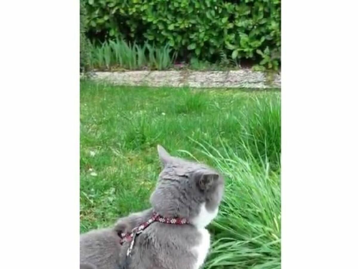 V5HEA88F7DB7AA831B6AC42A186FCB6484FR5779231P4