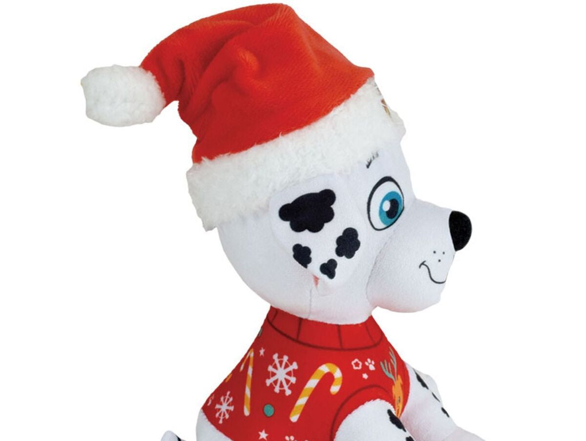 V4H63D0D0B489017BC77D7DB93DA1E97068R7417845P6