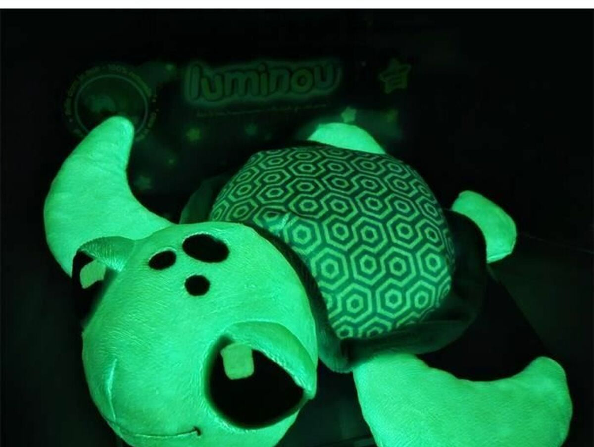 V6H6D87B731FCBE0364A2683CFD5D5DFFF1R5451261P2