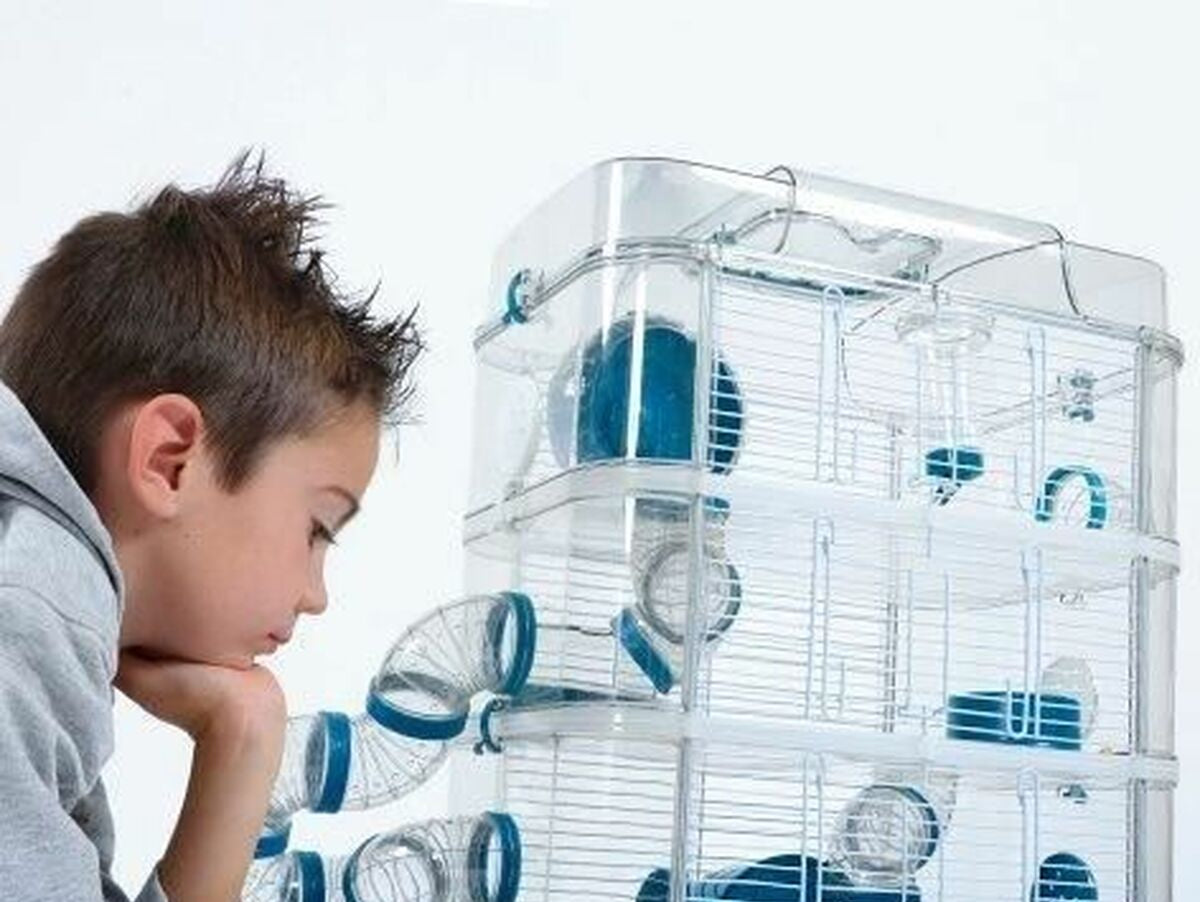 V2H5087E249C0B1C8657830B3BA19E970CER7029803P5