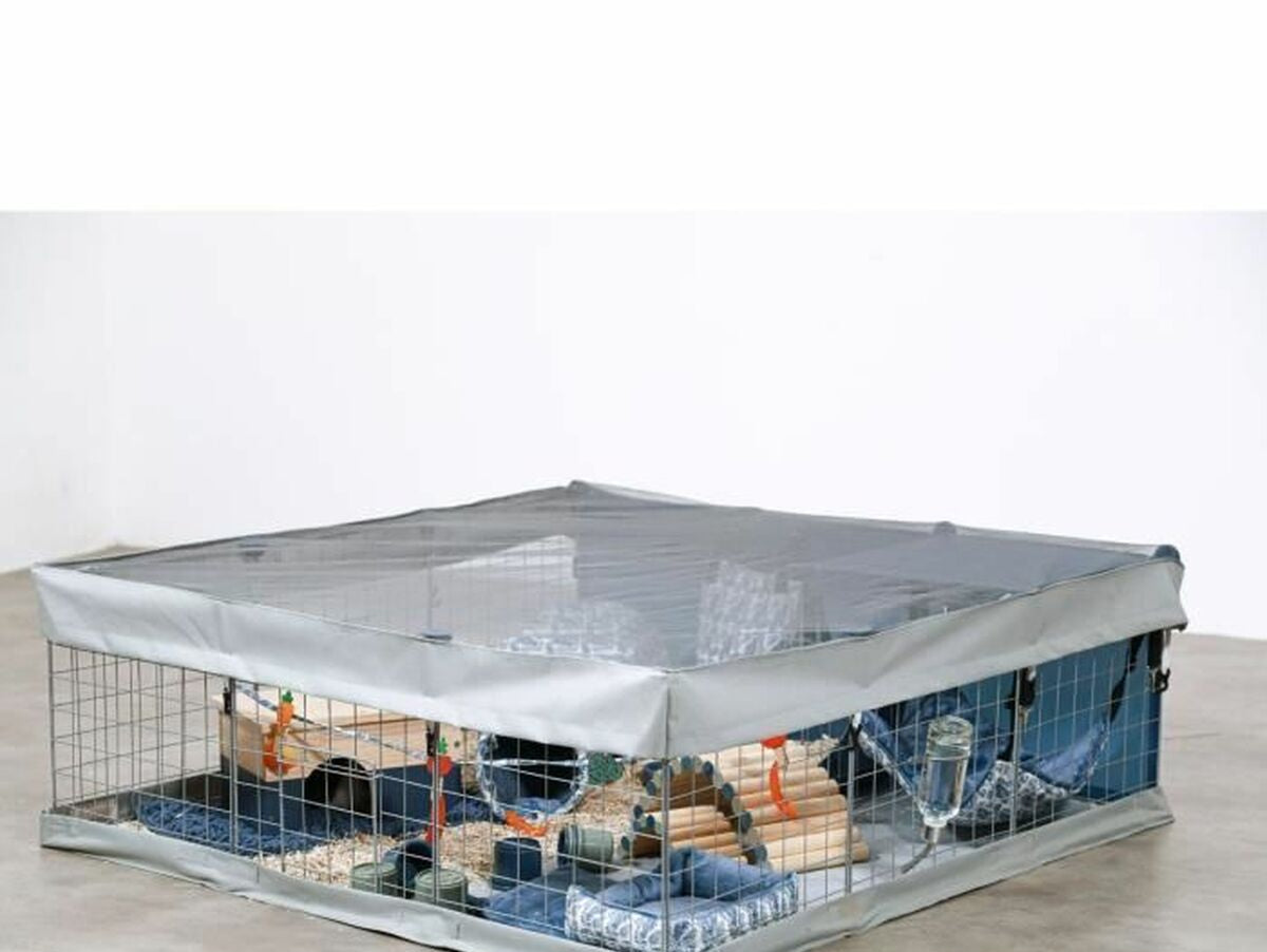 V2H6BCD7BBE4A0370E227C3DBAE317A79E2R7050816P3