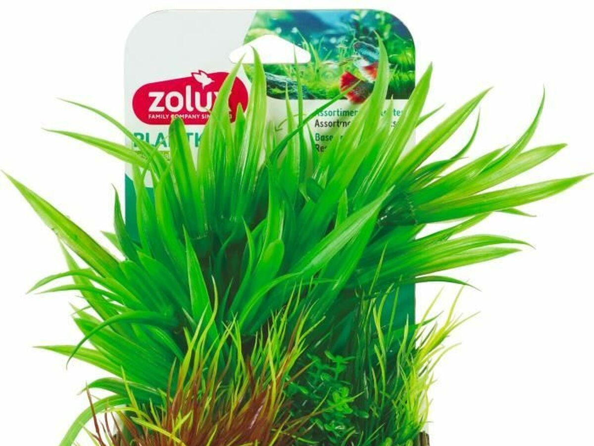 V4H6C50F5D219024E00D451434A14FF9C59R7380984P1