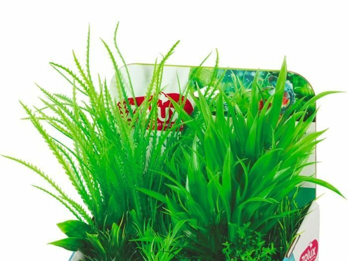 V4HFEC83D99EA901B3E851AB61689DF7B3AR7380987P2