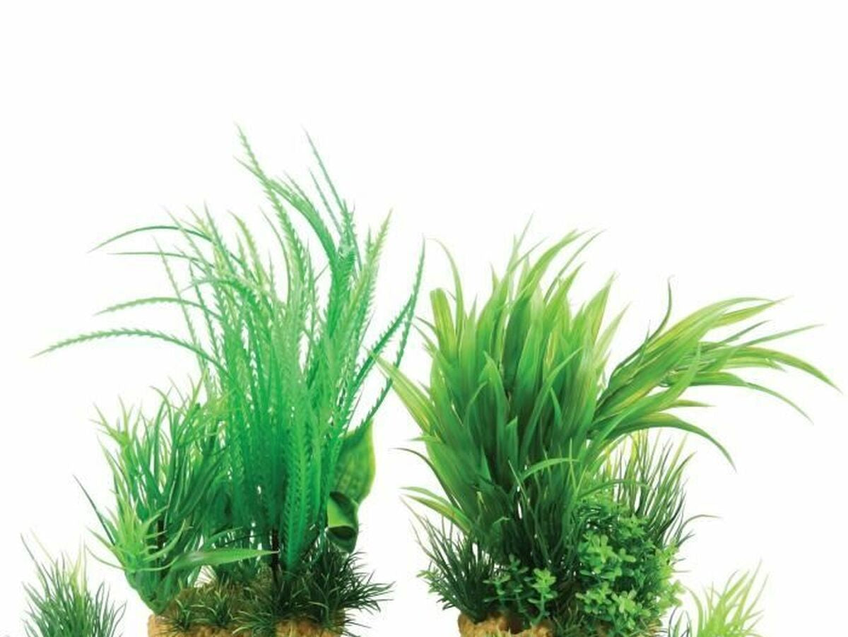 V4HA9E85A88457B02438D07E5D186543082R7380989P3