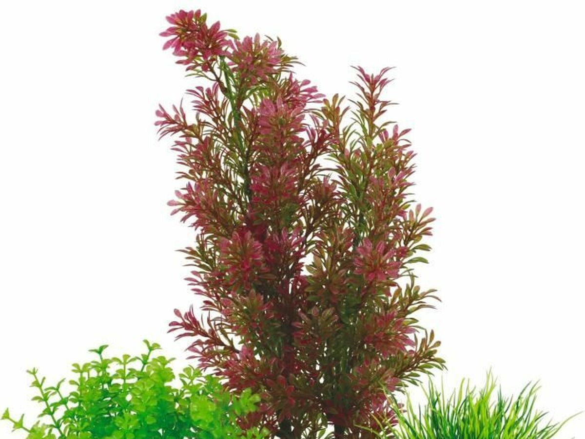 V4HCC175AA92915E2B69235973F948C183ER7381043P2