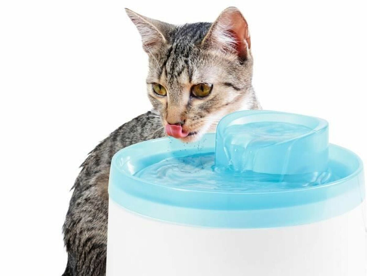 V5HE51E145D4B27275E45723693A94AFA5ER5763362P1