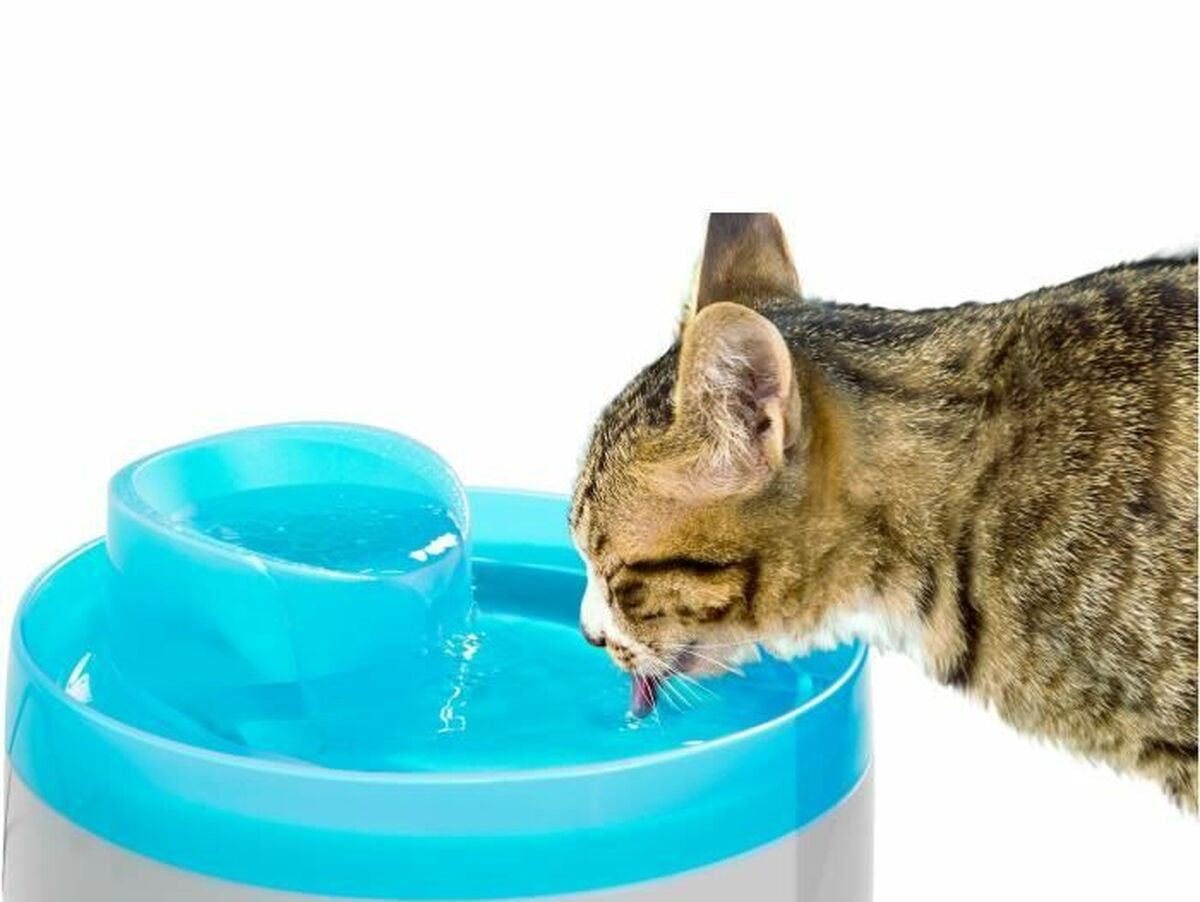 V5H1945E3114D4389F4FAC36708284362B6R5763368P4