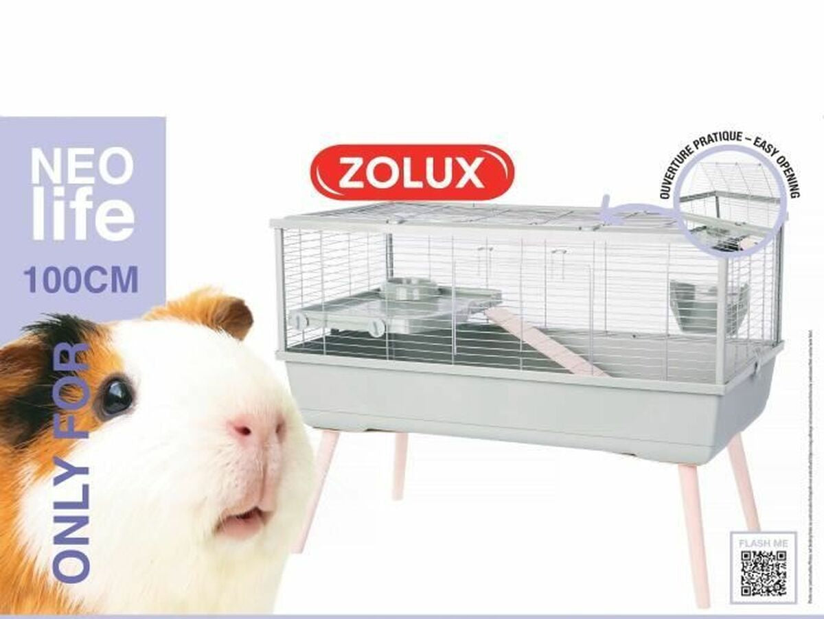 V5H6D59968277E7036C0ACD3E68D5904781R6212590P2