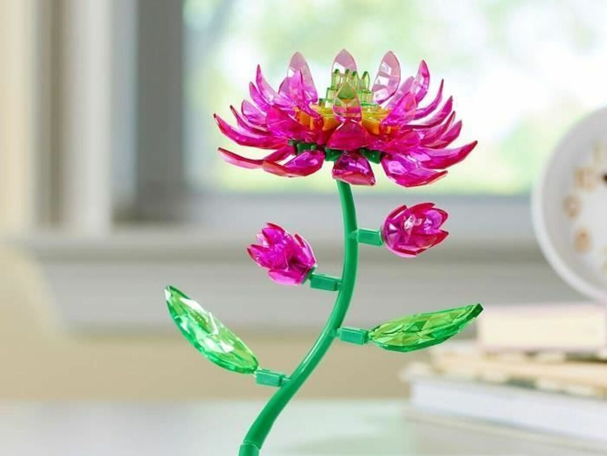 V4H6483BE5C6127542B4A30B082CB6C5AB7R7049433P2