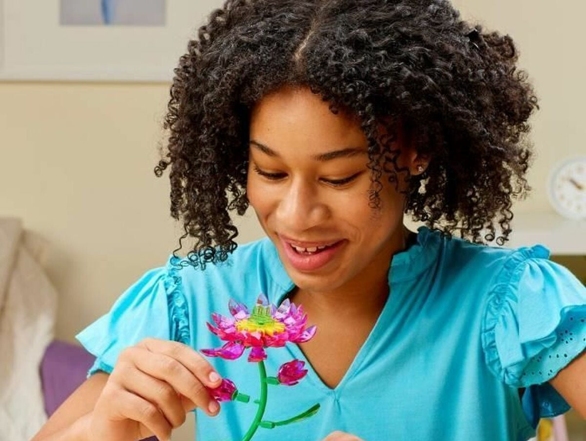 V4H2008E969EDE8D2B3429F6294DB9D4000R7049436P3