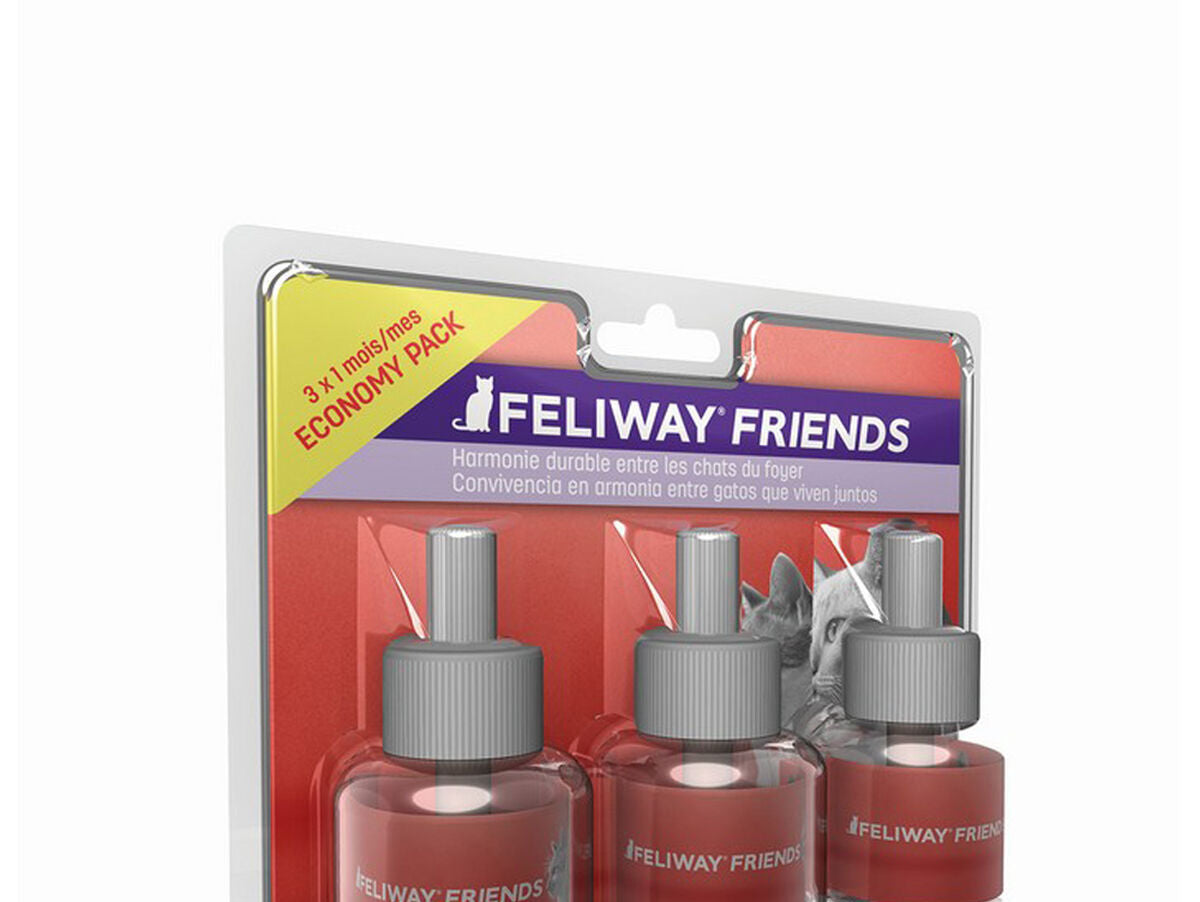 V10H4FEA04B0675F65A5737FD8438B4341EDR5597708P1