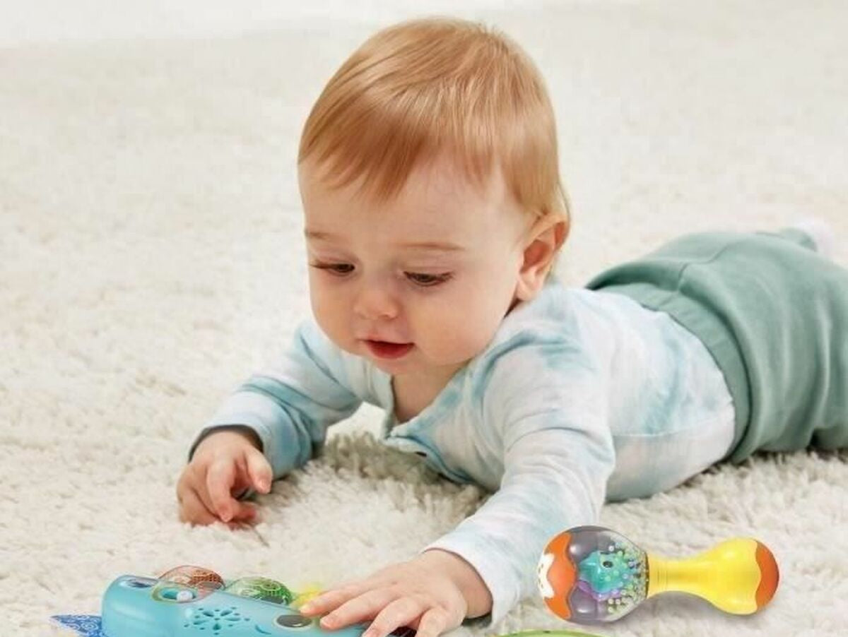 V6H4359B99A6F5C2F463317E33EB25F1E1BR6155341P3