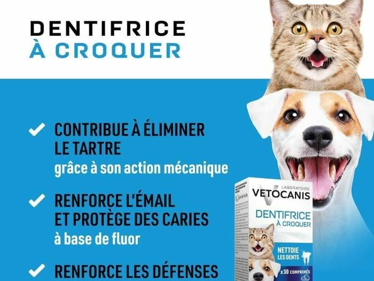 V8HDE73D4D6EBDBB8BC5AF80D223F30241CR6641665P3