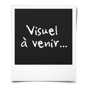 V6HED1DF7A6803C78501418573ED4BBEE46R6497823P2