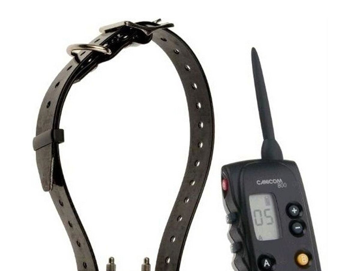 V8H680C45A5543B8D0A7C5B421F29D484AER4267957P1