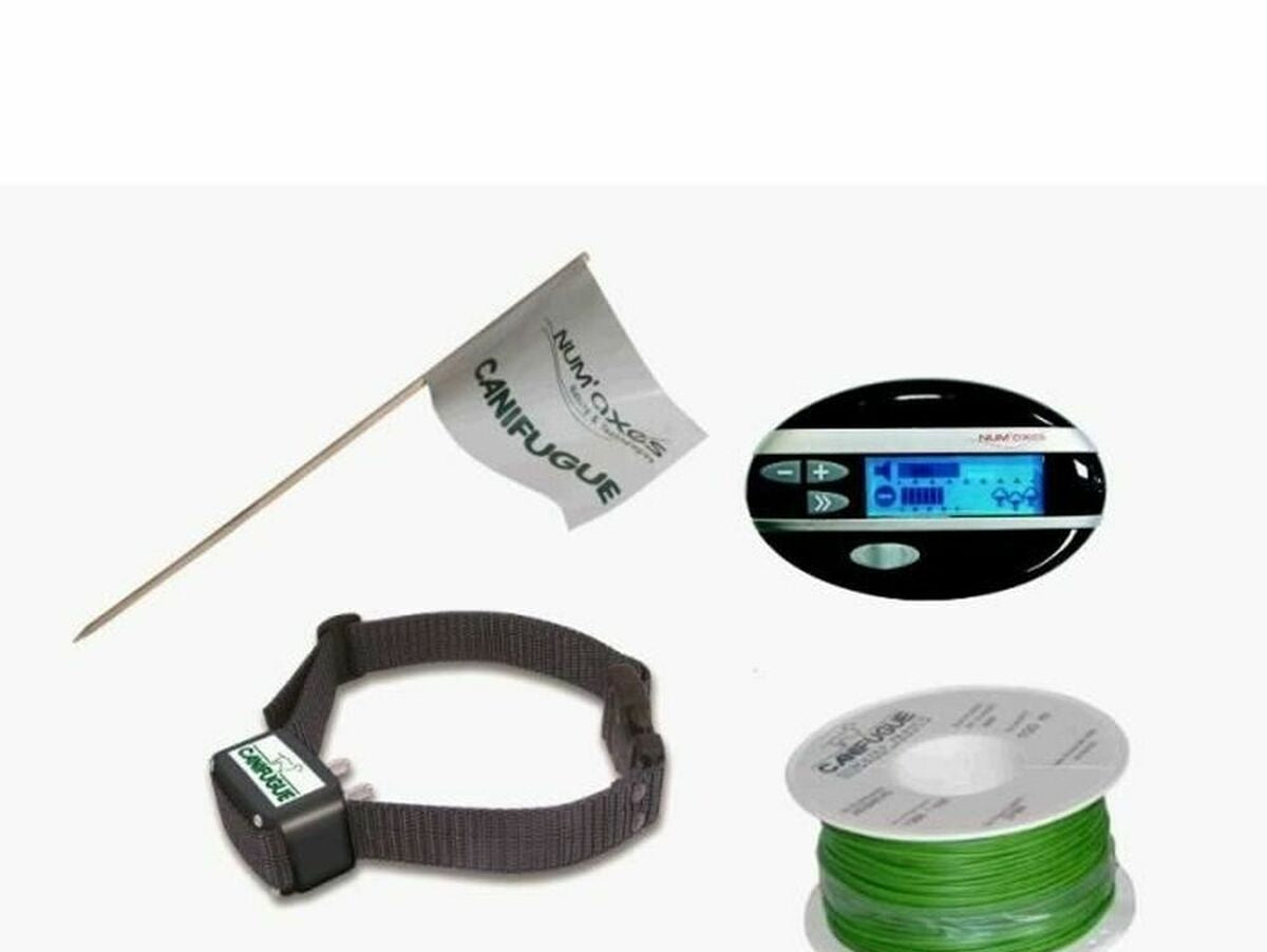 V6H6ED8EF00570836DC22F4A9EB2E125398R4689051P1