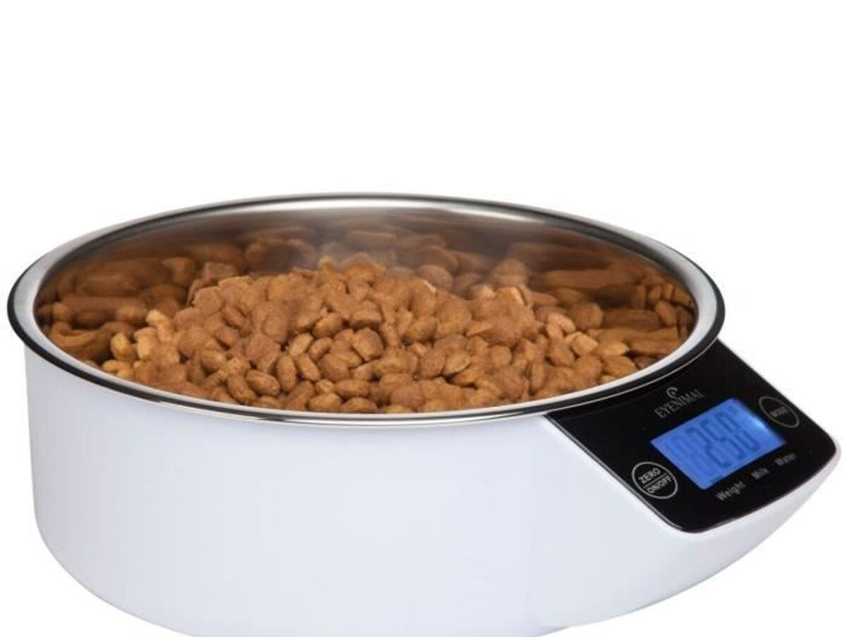 V2HDF94424267045A29349E43421F49A49CR7467813P9