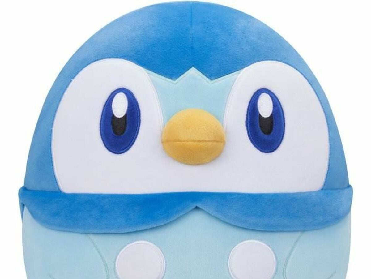 V6H6FA597621E51B52E6829A11607272A23R4589348P1