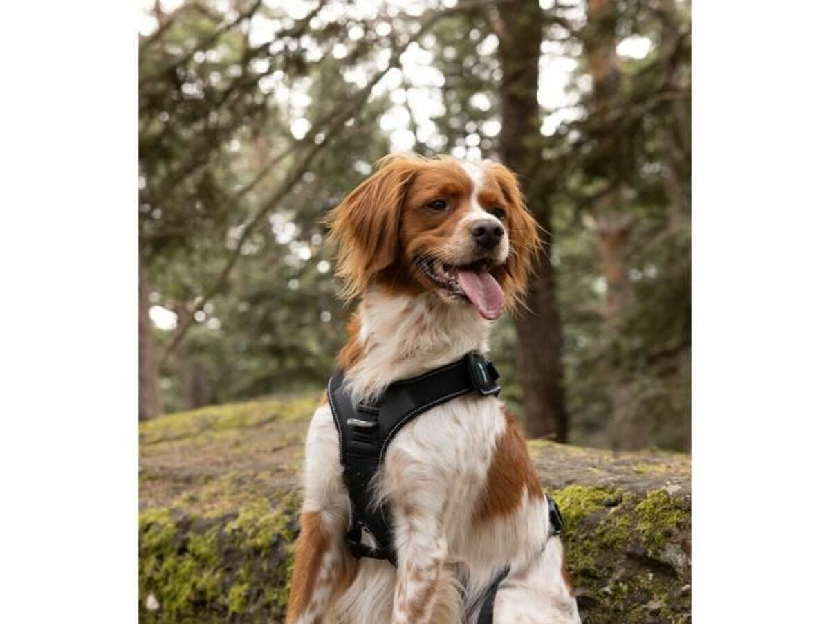 V7H7751BDD3F26D1FD3B4DF21E78DCB6520R5293570P5