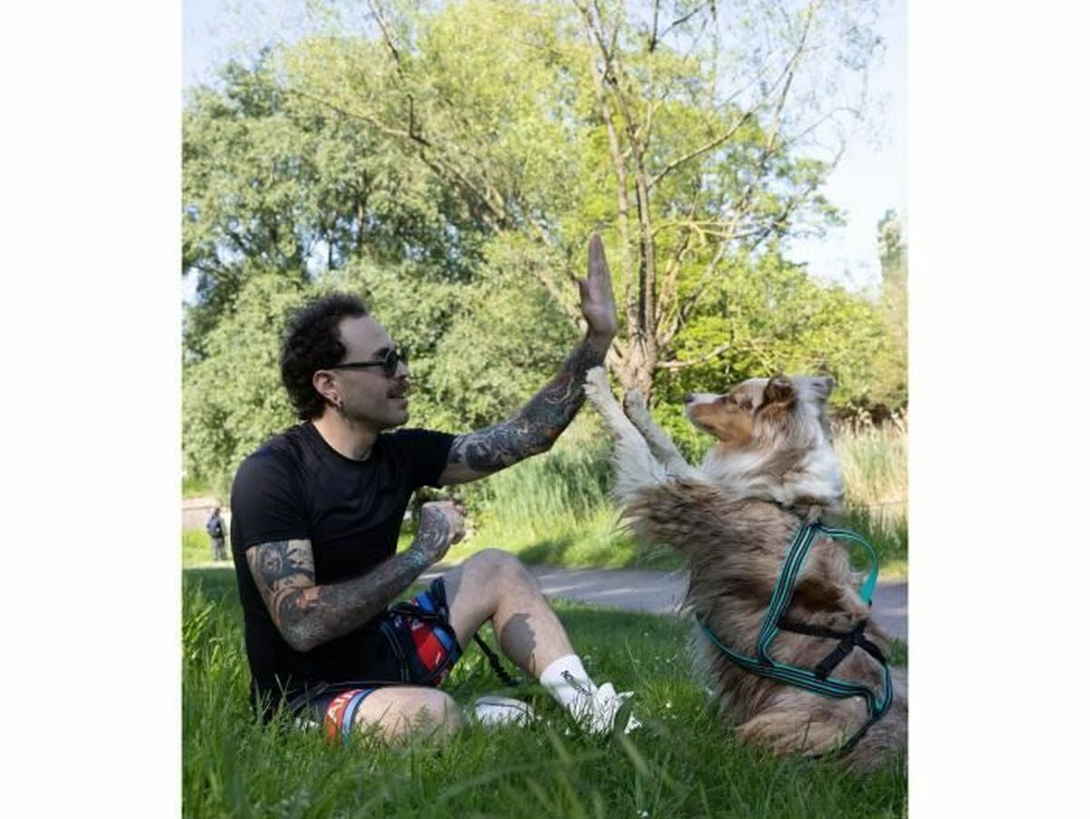 V6H6CFD2BB88B8917B84CD09403FDF8101BR5293574P6