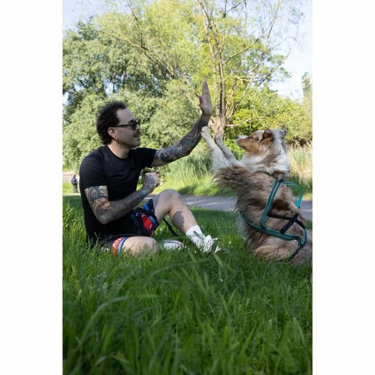 V6H6CFD2BB88B8917B84CD09403FDF8101BR5293574P6