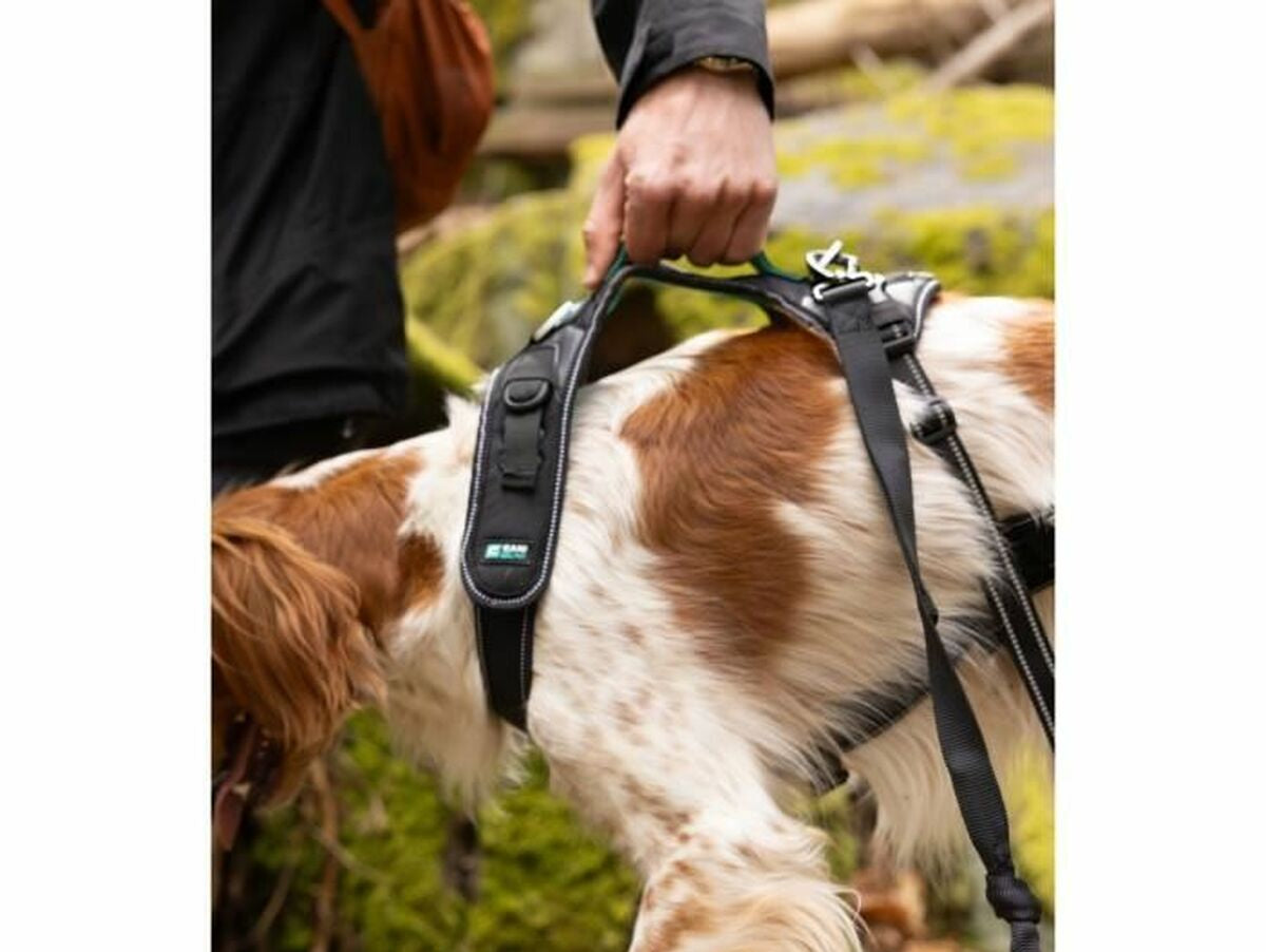 V6H6B7246556F4BDBDC073CFE9205A01AC4R5293579P6