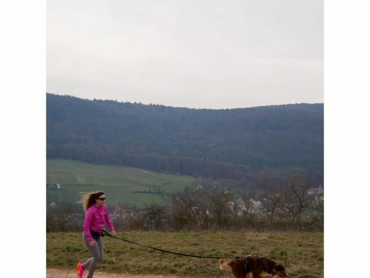 V5H829214B5DD29B9BE8DAFE12C05938D76R5293567P3