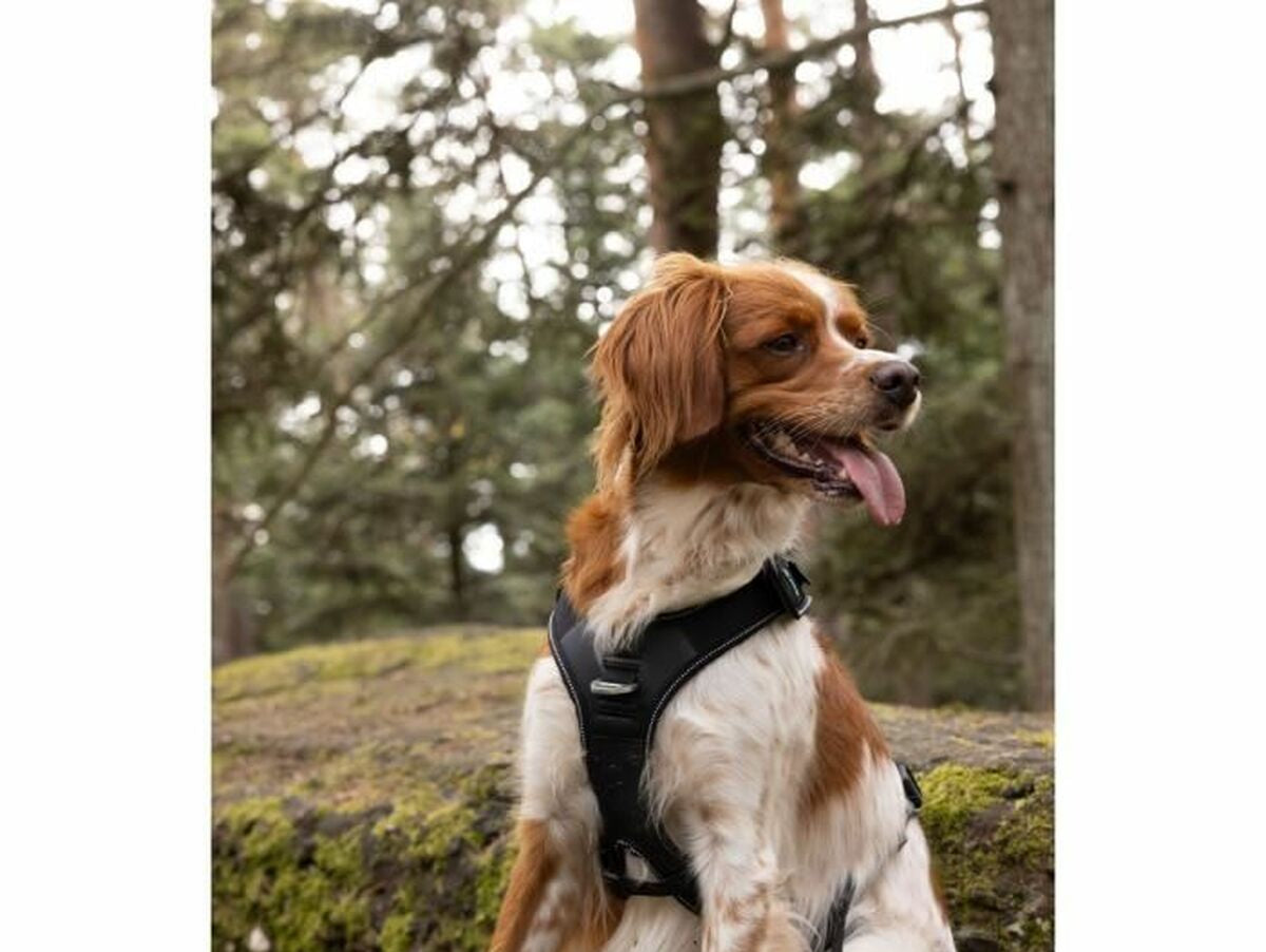 V5HC54E2D58C027F218D7DFFA8957ED2A6ER5293576P5