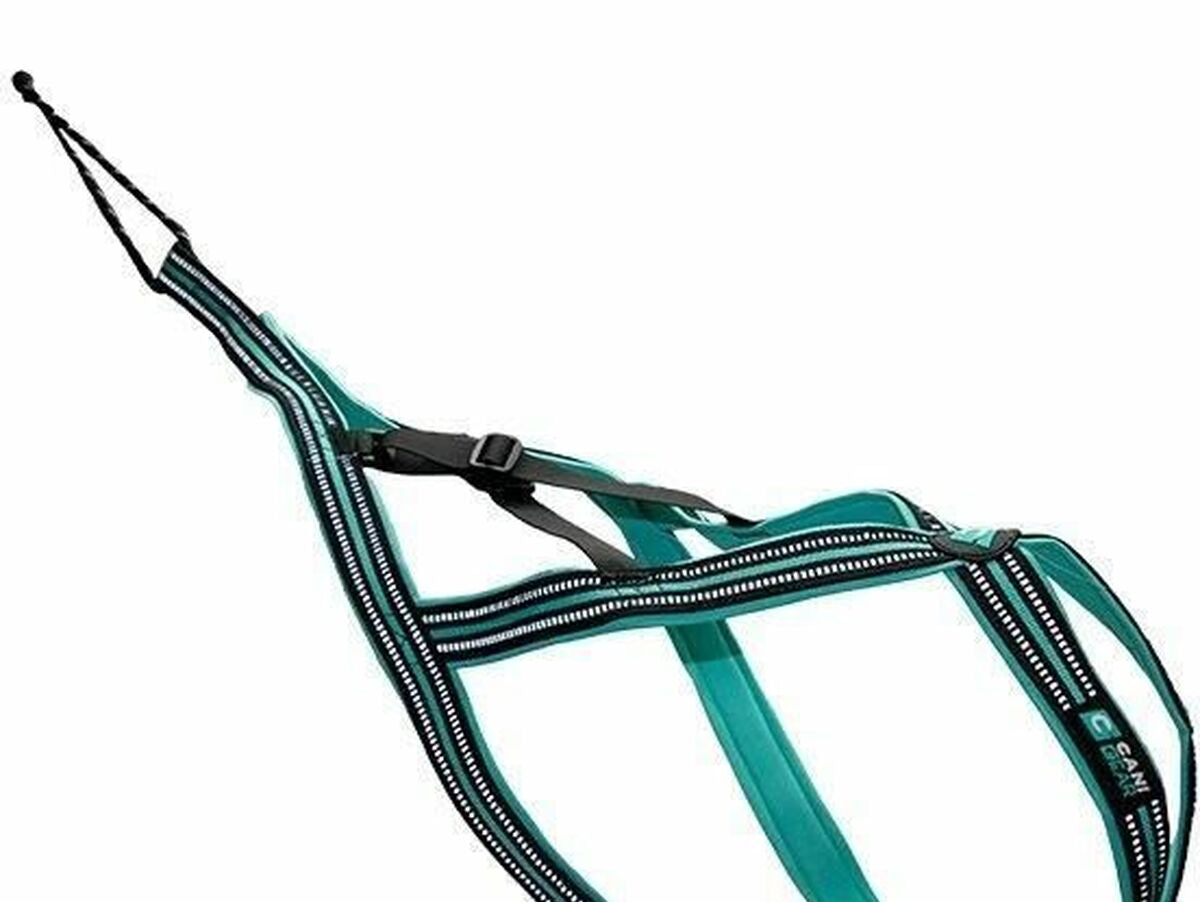 V4H2C0C9B703515304BD409325703B0279BR5293605P1