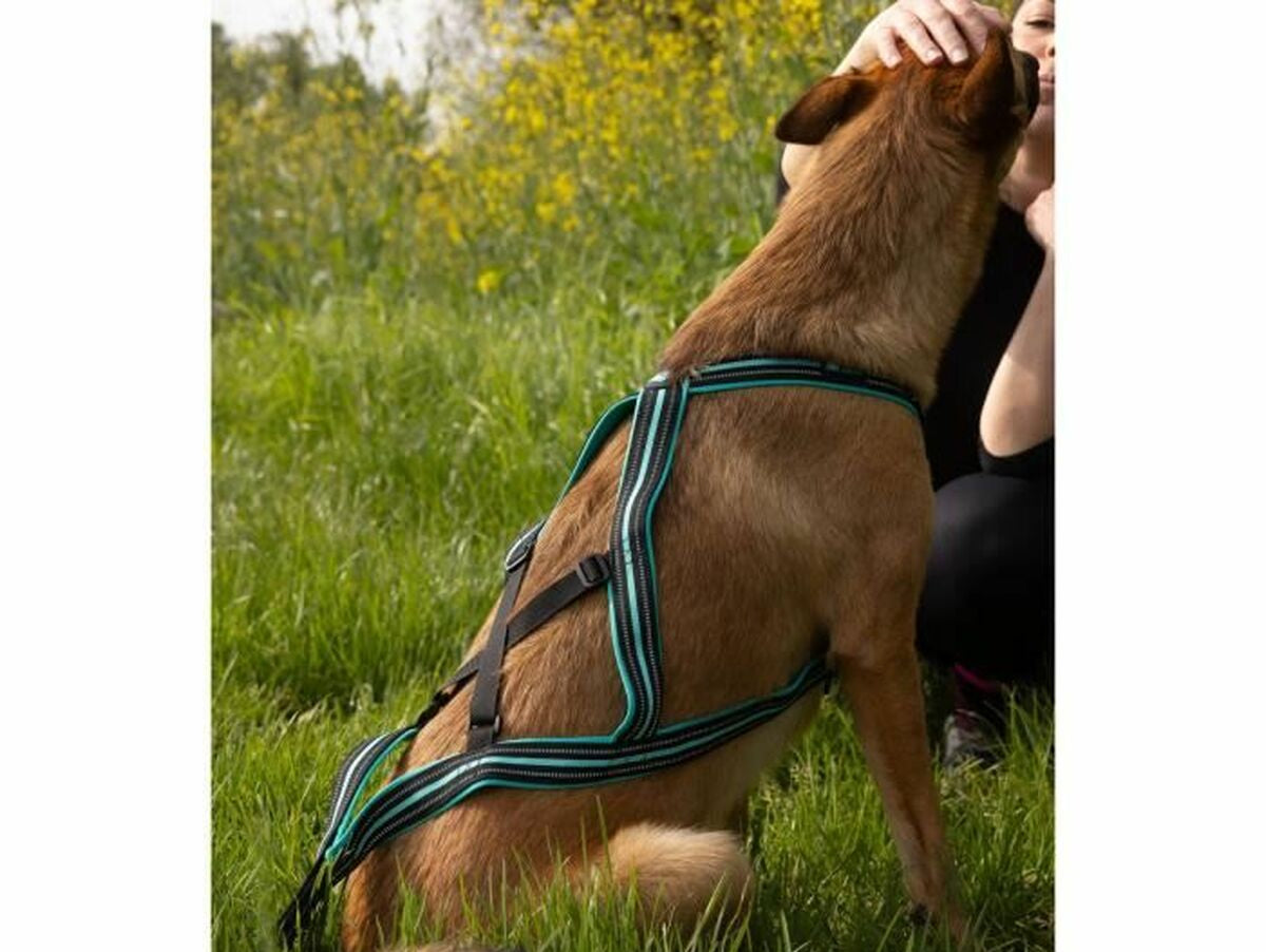 V4H4A247D6EF3C086104B44C1942AB91A4DR5293609P3