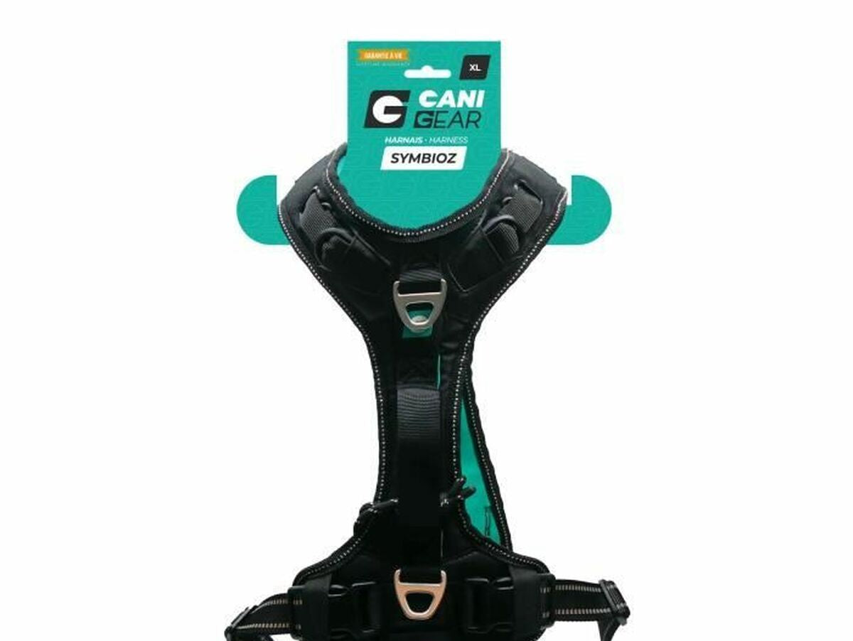 V6H1CB686AACAE06C77EE7686BCBB2E0E6CR5293581P1