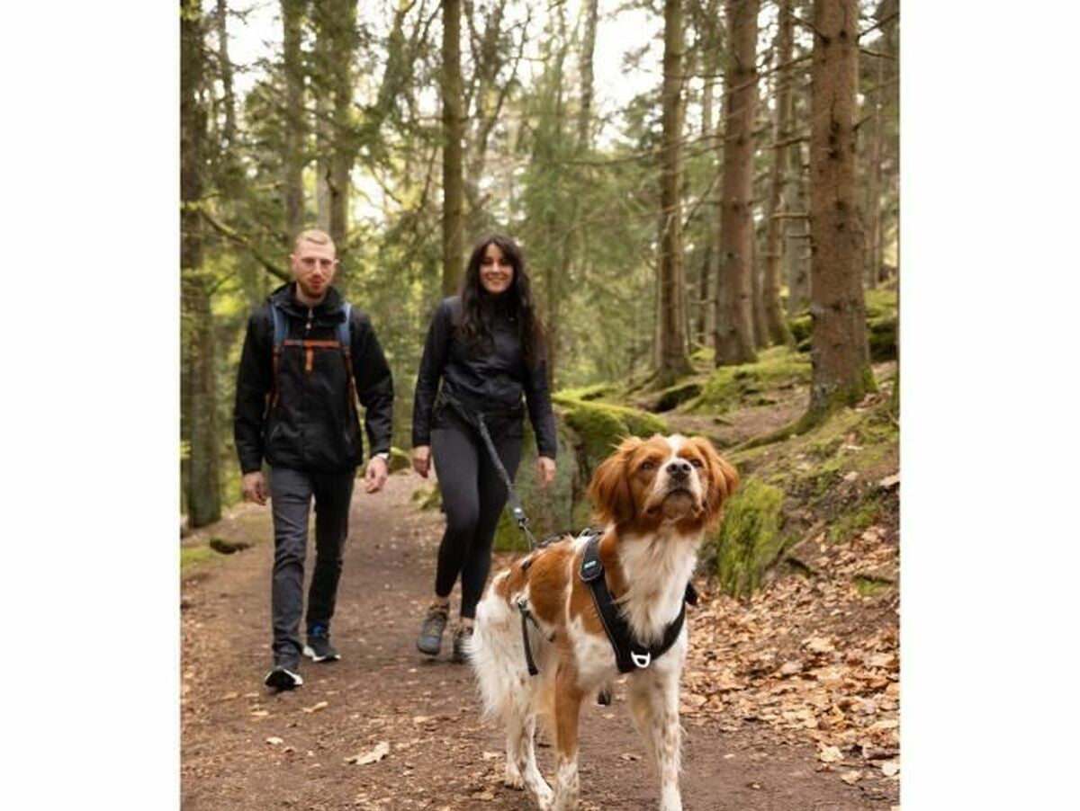 V6H54EE2D57DB6DD406B4E7C76601E02E9DR5293585P3