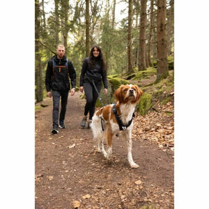 V6H54EE2D57DB6DD406B4E7C76601E02E9DR5293585P3