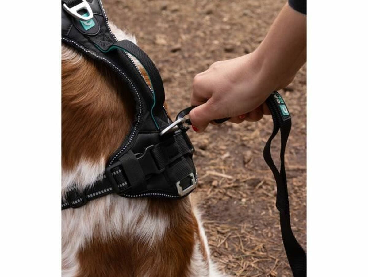 V6H88F219CC7625CA13E248F4A78279F210R5293591P6