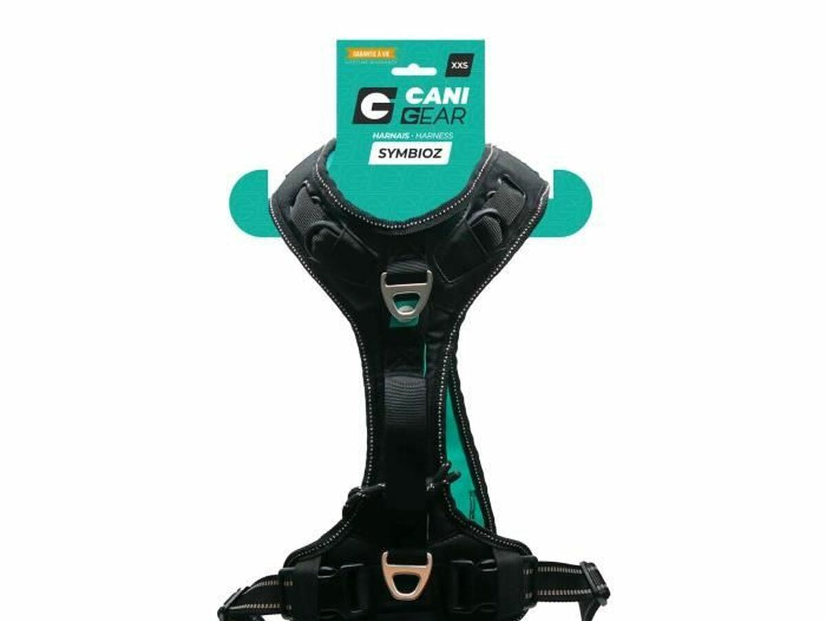 V6HC8D4B4F331C324067C19E616EA04FEEBR5293641P1